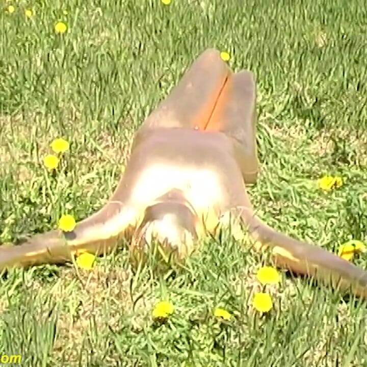 Tenli altın taytlı catsuitli seksi zenci bebek açık havada poz verdi