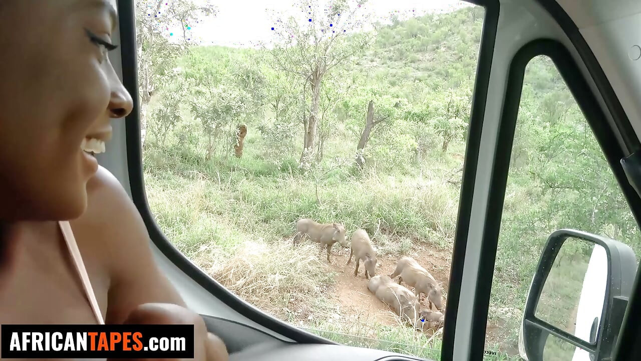 我和我的超可愛黑人女友去了一趟Safari之旅……靈感來了，直接把她的屁眼幹到生