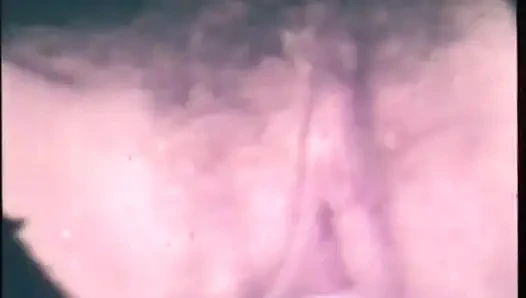 Всё в моей заднице