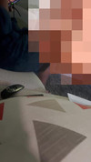 Pregled videozapisa