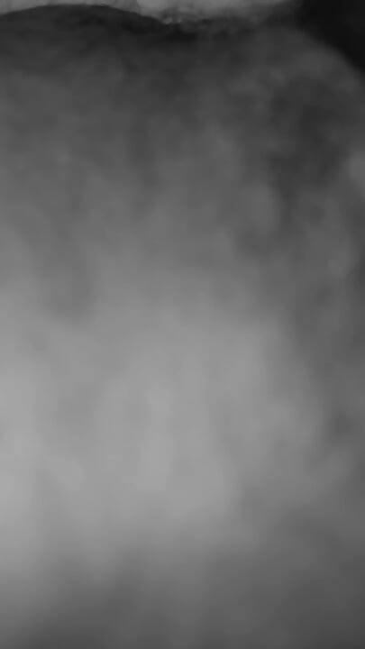 FTM Pepek Di Sebalik Tirai