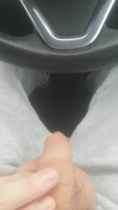 Car piss