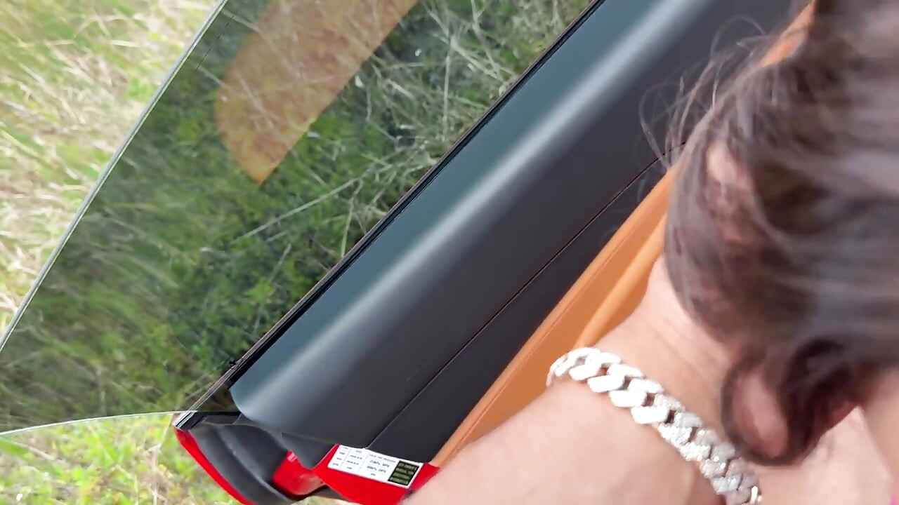 College Babe Ivy Ireland zdradza swojego chłopaka z bogatym facetem Teddy Tarantino w jego Ferrari