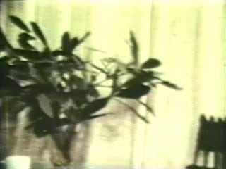 BBsSaL v003 07 L