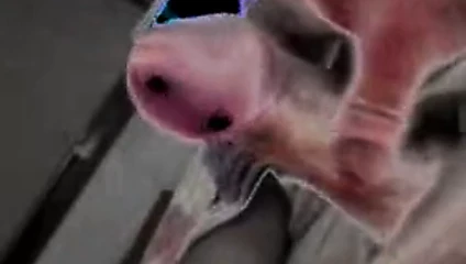 handjob tatlı horoz