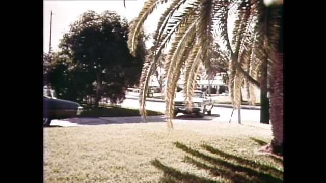 Deep Throat (1972)