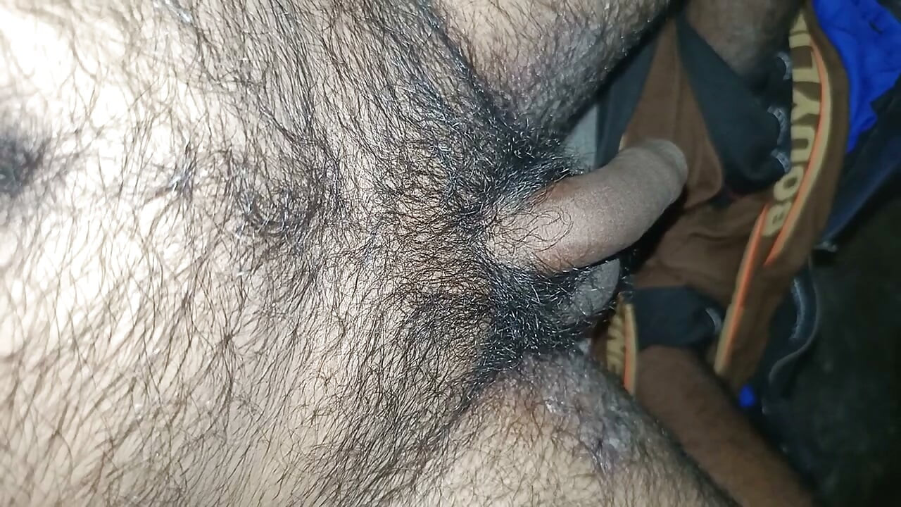 Indische Schönheit beim Sex