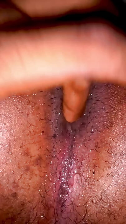 Black Bussy