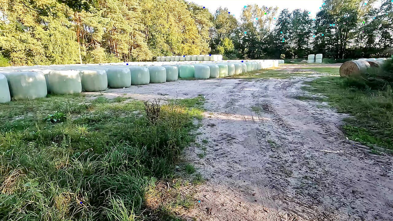 Completamente desnuda en el campo golpeando sus pechos