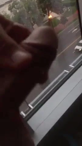 Window fun