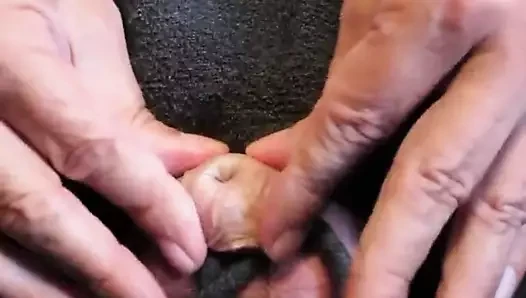 zugebunden mit Precum
