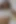Seksi latin ateşli bir genç erkek avcısıyla meraklanıyor