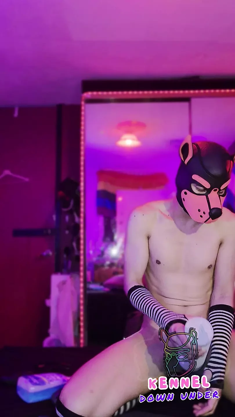 Femboy pup on heat humps fleshhlight