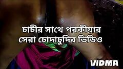 Bangladeshi aunty midnight sex with stepson (Bangla porokia)