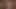 AI generated Zero two need you all time