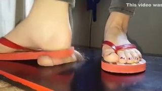 Amo suas sandálias - senhorita J flip-flops crush 14