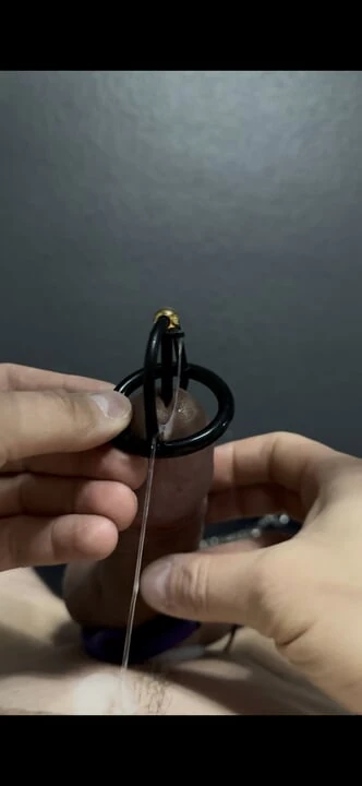 Yarak üretra elektrikli sağım