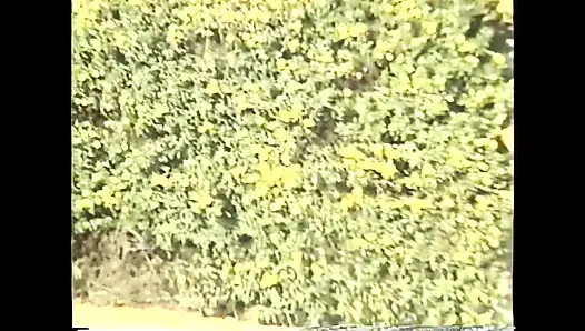 Süßer arsch wird geritten