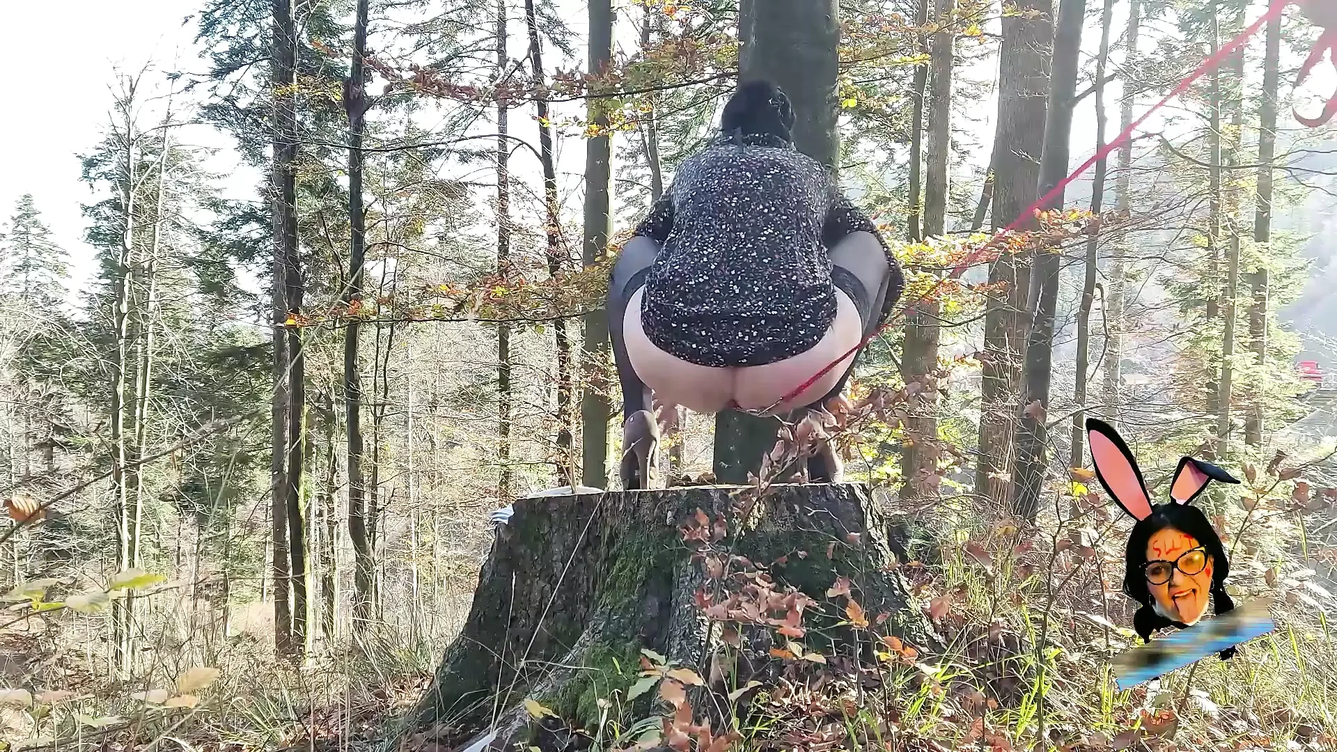 A gyönyörű milf anyuka pórázon dugja a seggét, hogy kutyaként pisiljen