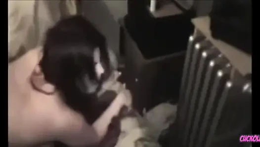 Cuckold milf - istri yang selingkuh