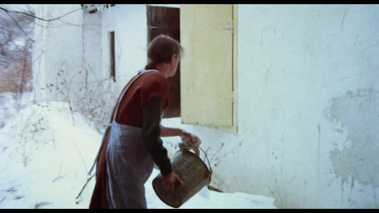 Miss Aggie的回忆（重制版）