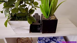 Step Siblings Caught