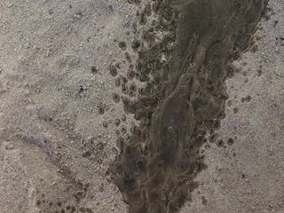 Pissing on sand
