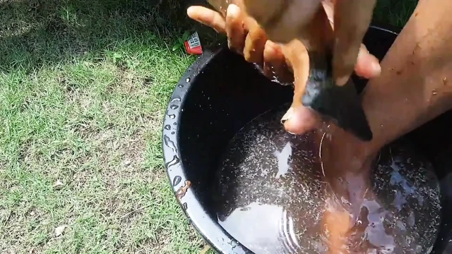 Deep Scrub with Coffee and Honey