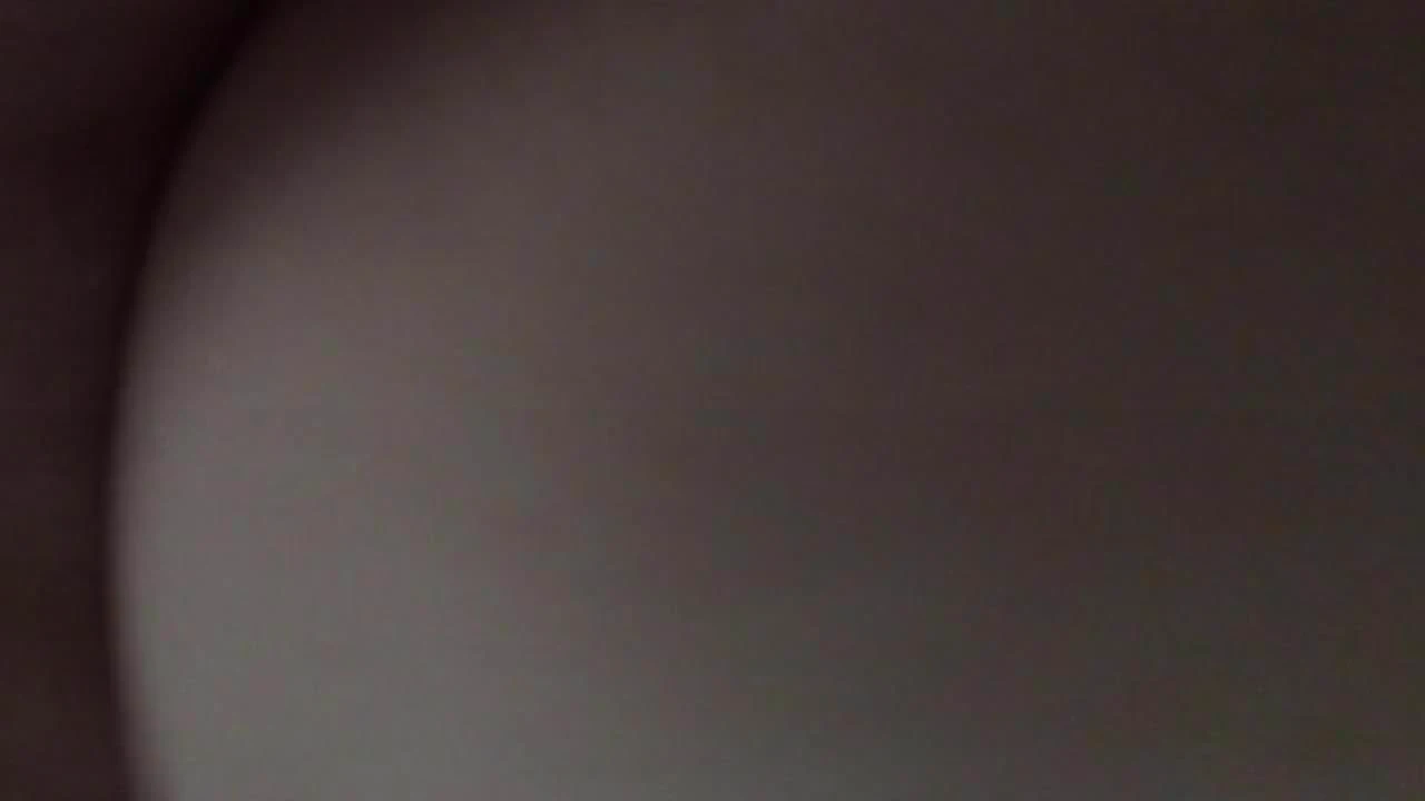 又是快速小狗