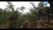 Pratinjau video