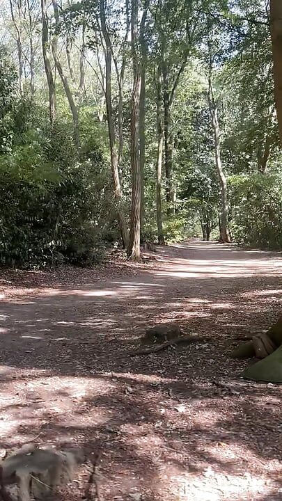 Schöner tag fürs im wald
