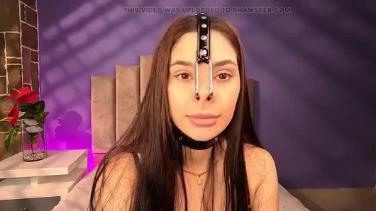 Свинья нос арпень