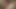Vanessa Jhons Fucking my Trans friend Lilyyuw8
