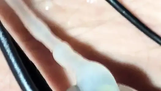 Estim Cum 091319