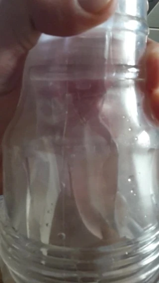 Fleshlight