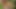 Out door masturbation