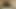 Susan Creampied at a Gloryhole 1
