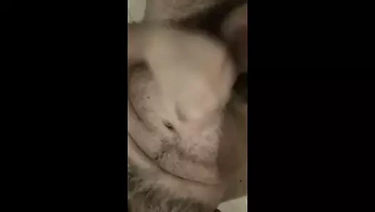 vid736
