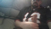 Pregled videozapisa