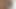 役立たずのチンコ