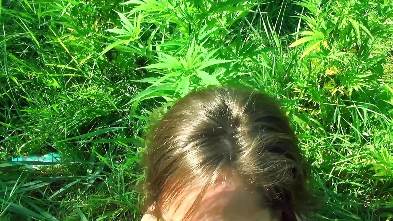 Kulki bardzo głęboko drzwi BBC walenie!