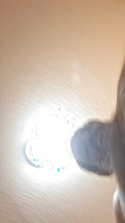 Bet You Wish You Could Fuck this