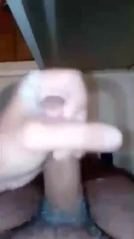 Indian cock