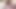 Yuri hyuga si cewek sange jepang lagi asik muasin lubangnya pakai dildo ukuran XL