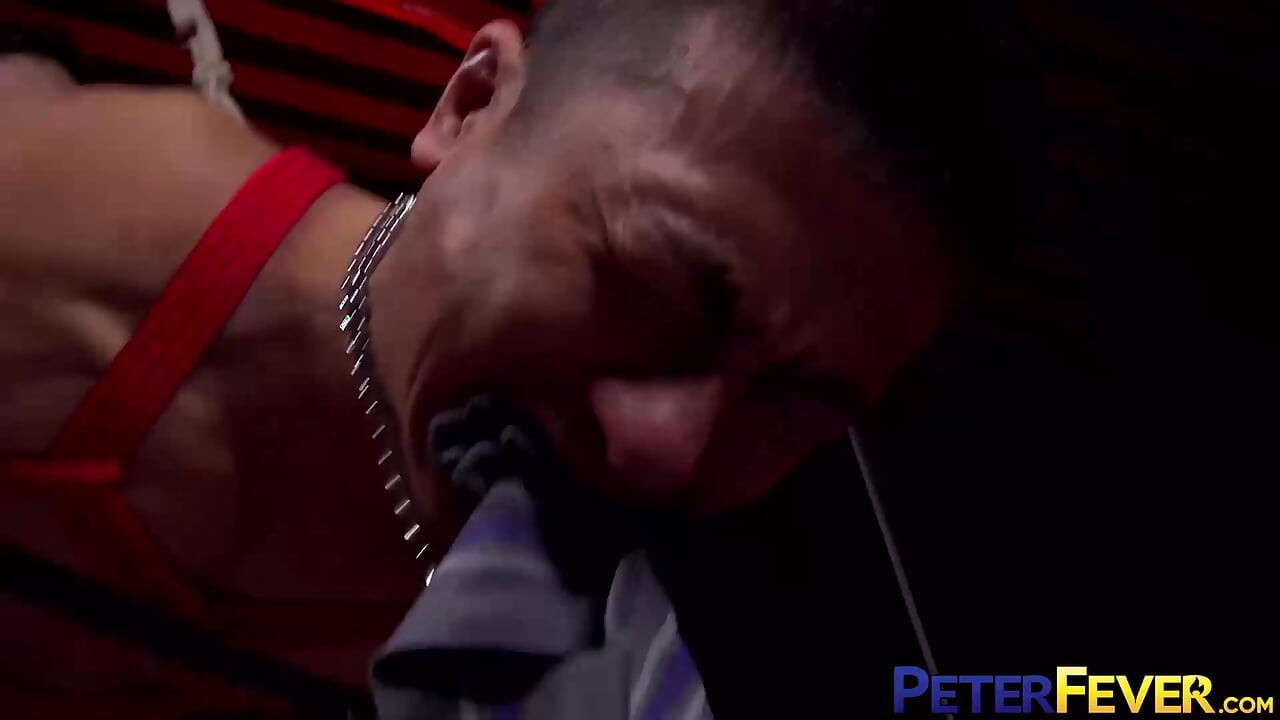 Peterfever vezan u utorak 5 Suspendirana nevjerica