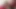 The giant boobs of a perfect porn queen