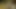 Fransız öğrenci derin anal ihtiyacı var