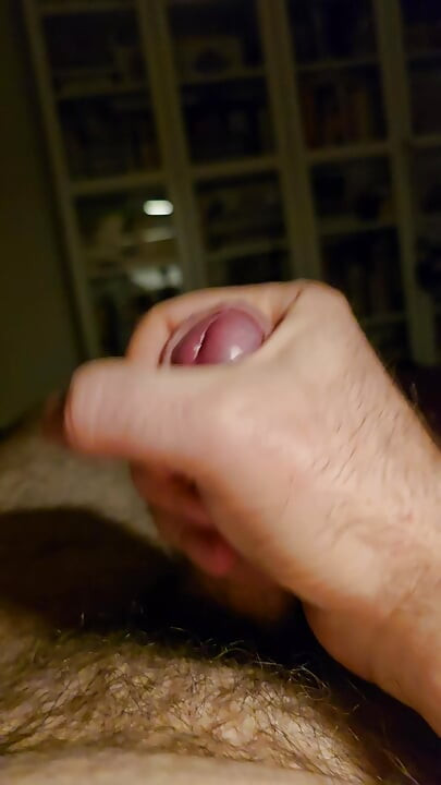 Ведмідь має дрочку і кінчання