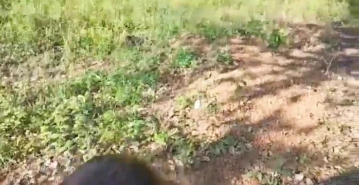Slut Wife Sneaks Off In The Middle Of The Walk To Suck Off One Of Her Husband's Friends And Can't Resist The Urge To Try New Mil