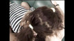 Previzualizare clip video